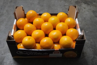 Foto Arance Tarocco Calibro 8  Origine Italia Marchio 'Eccellenza Capitale' 1