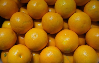 Foto Arance Tarocco Calibro 8  Origine Italia Marchio 'Eccellenza Capitale' 2