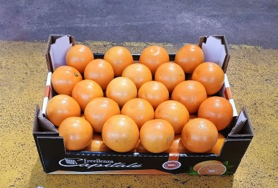 Foto Arance Varietà Tarocco Origine Italia Calibro 9  Marchio Eccellenza Capitale 1