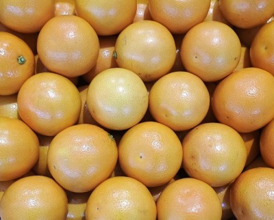 Foto Arance Varietà Tarocco Origine Italia Calibro 9  Marchio Eccellenza Capitale 2