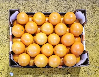 Foto Arance Varietà Tarocco Origine Italia Calibro 9  Marchio Eccellenza Capitale 3