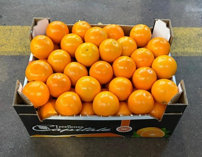 Foto Arance Tarocco Calibro 10 Origine Italia Marchio Eccellenza Capitale	 1