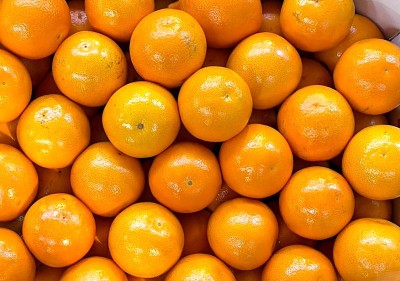 Foto Arance Tarocco Calibro 10 Origine Italia Marchio Eccellenza Capitale	 2