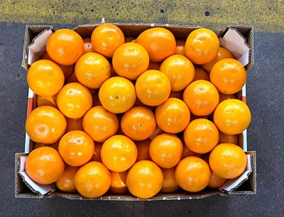 Foto Arance Tarocco Calibro 10 Origine Italia Marchio Eccellenza Capitale	 3