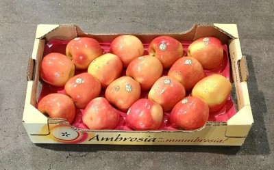 Foto Mele Ambrosia Calibro 16 Origine Italia Marchio Ambrosia            1