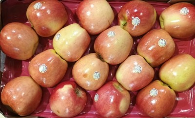 Foto Mele Ambrosia Calibro 16 Origine Italia Marchio Ambrosia            2