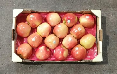 Foto Mele Ambrosia Calibro 16 Origine Italia Marchio Ambrosia            3