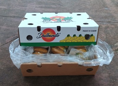 Foto Bananito Origine Ecuador Marchio Battaglio  1