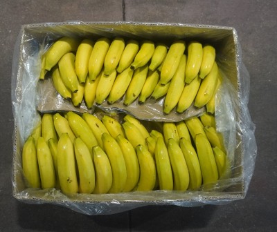 Foto Banane Varietà Cavendish Origine Colombia  Marchio Battaglio             3
