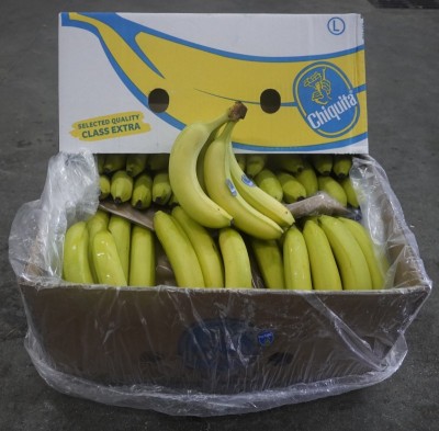Foto Banane Chiquita Varietà Cavendish Origine Ecuador Marchio Chiquita 1