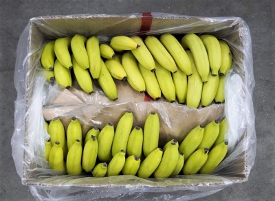 Foto Box di Banane Varietà Cavendish  Origine Ecuador Marchio Chiquita 3