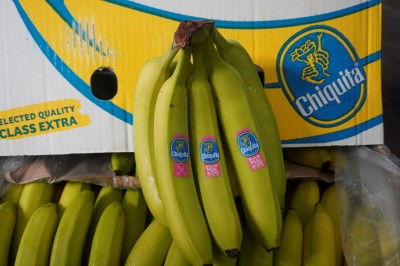 Foto Box di Banane Varietà Cavendish Origine Ecuador   Marchio Chiquita  2