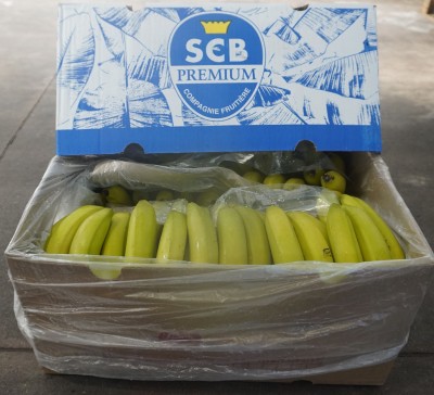 Foto Box di Banane Varietà Cavendish Origine Costa Rica Marchio  SCB 1