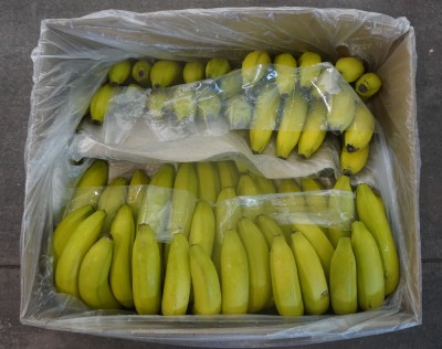 Foto Box di Banane Varietà Cavendish Origine Costa Rica Marchio  SCB 2