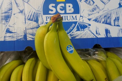 Foto Box di Banane Varietà Cavendish Origine Costa Rica Marchio  SCB 3