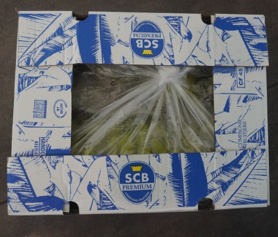 Foto Box di Banane Varietà Cavendish Origine Costa Rica Marchio  SCB 4