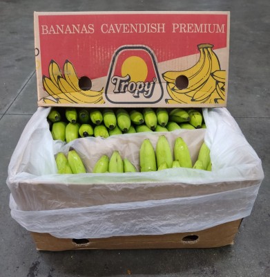 Foto Box di Banane Varietà Cavendish Origine Colombia Marchio Tropy 1