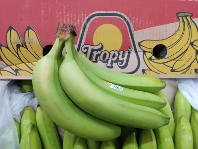 Foto Box di Banane Varietà Cavendish Origine Colombia Marchio Tropy 2