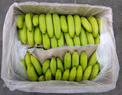 Foto Box di Banane Varietà Cavendish Origine Colombia Marchio Tropy 3