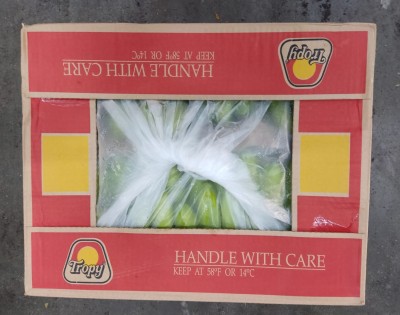 Foto Box di Banane Varietà Cavendish Origine Colombia Marchio Tropy 4