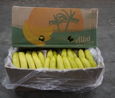 Foto Banane Varietà Cavendish Origine Colombia Marchio Alba            1