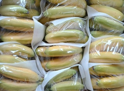 Foto Bananito Origine Ecuador Marchio Nature  2