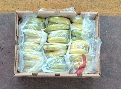 Foto Bananito Origine Ecuador Marchio Nature  3