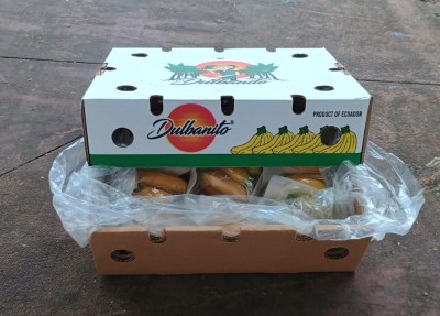 Foto Bananito Origine Ecuador Marchio Nature            1