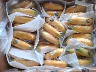 Foto Bananito Origine Ecuador Marchio Nature            2