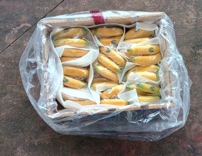 Foto Bananito Origine Ecuador Marchio Nature            3