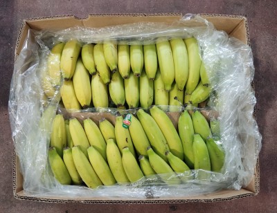 Foto Box di Banane Varietà Cavendish Origine Ecuador Marchio Del Monte 3