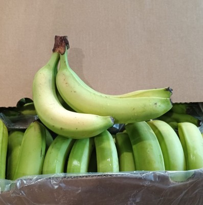 Foto Banane Varietà Cavendish Origine Costa Rica Marchio Utc 2