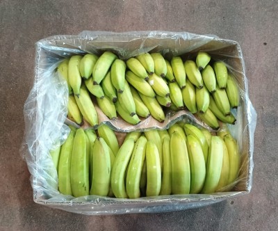 Foto Banane Varietà Cavendish Origine Costa Rica Marchio Utc 3