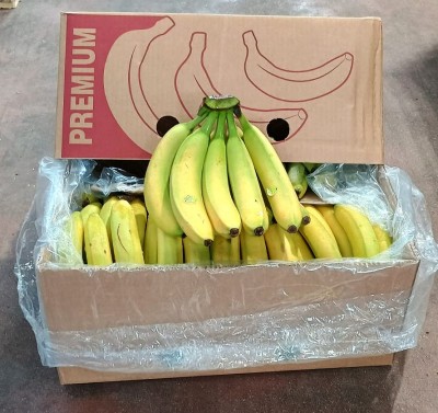 Foto Box di Banane Varietà Cavendish Origine Costa D'avorio Marchio Premium 1