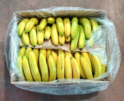 Foto Box di Banane Varietà Cavendish Origine Costa D'avorio Marchio Premium 3