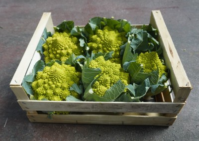 Foto Broccoli Romaneschi Marchio Cutini Origine Italia 1