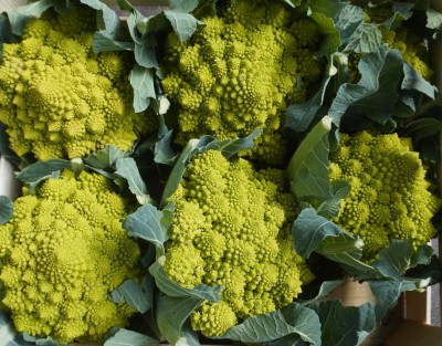 Foto Broccoli Romaneschi Marchio Cutini Origine Italia 2