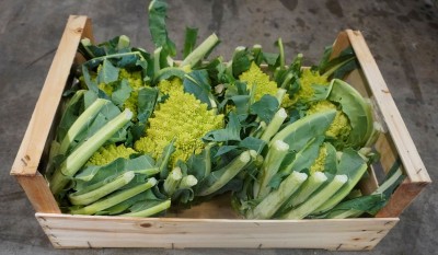 Foto Broccoli Romaneschi Origine Italia Marchio Agriroma  Confezione in Legno 1
