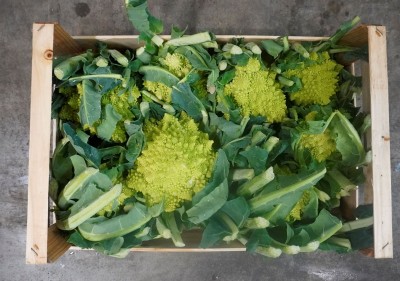 Foto Broccoli Romaneschi Origine Italia Marchio Agriroma  Confezione in Legno 3