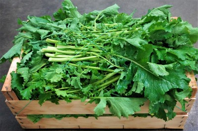 Foto Brocoletti Origine Italia Marchio  Allocca 1