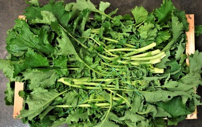 Foto Brocoletti Origine Italia Marchio  Allocca 2