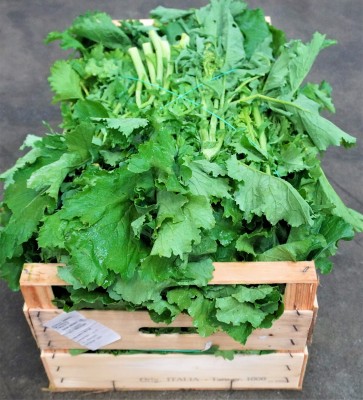 Foto Brocoletti Origine Italia Marchio  Allocca 3