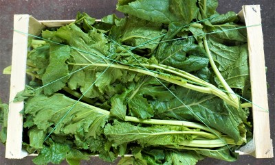 Foto Broccoletti Origine Italia Marchio Cambise  2