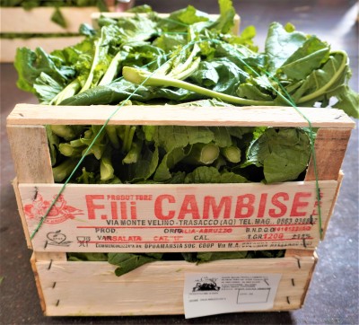 Foto Broccoletti Origine Italia Marchio Cambise  3