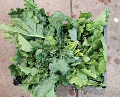 Foto Broccoletti Origine Italia Marchio Raffaele 2