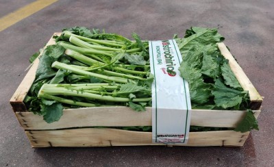 Foto Broccoletti Varietà Cime di Rapa Origine Italia Marchio Matrochirico 1