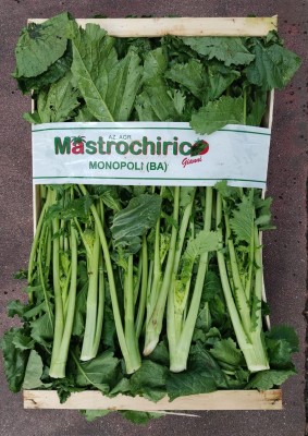 Foto Broccoletti Varietà Cime di Rapa Origine Italia Marchio Matrochirico 2