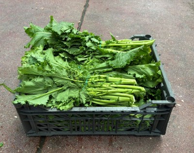 Foto Cime di Rapa Origine Italia Marchio Robbio  1