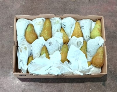 Foto Pere Abate Confezione Da 10 kg Origine Chile Marchio Battaglio  3