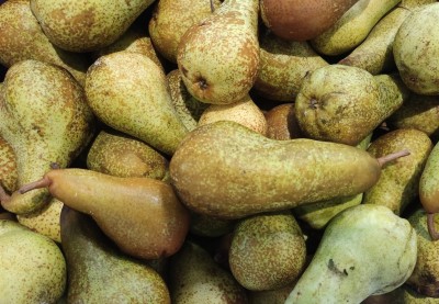 Foto Pere Abate Origine Italia Marchio Battaglio               2